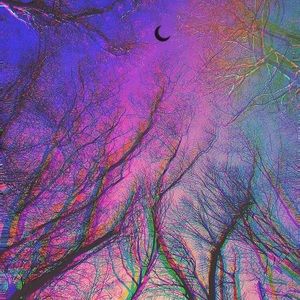 Meet your Posher, Jazmyn